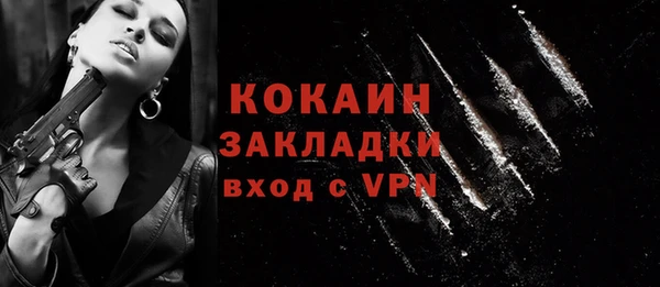 винт Няндома