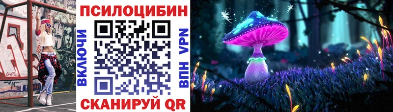 гидра как войти  Сальск  Псилоцибиновые грибы Cubensis 